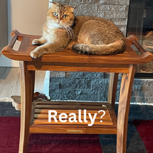 Load image into Gallery viewer, Luxury Teak Shower Bench Stool Seat with Leveling Feet, Waterproof, Teak Oil Finish, 25x19x14 for Bathroom, Spa, Sauna, Pool Deck, Patio, Garden, RV